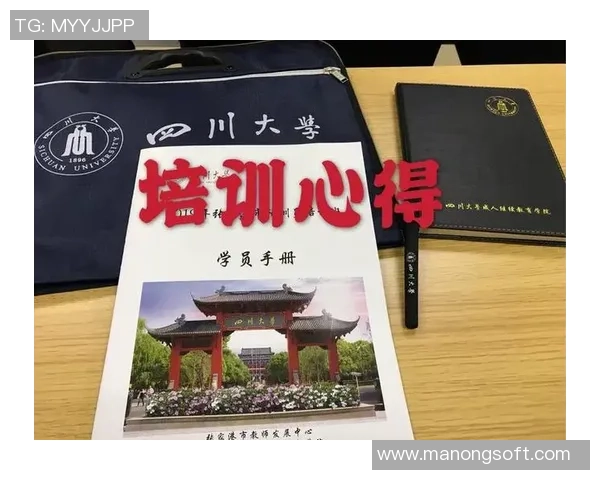 武汉排球队的战术变革与球员适应性分析深度探讨